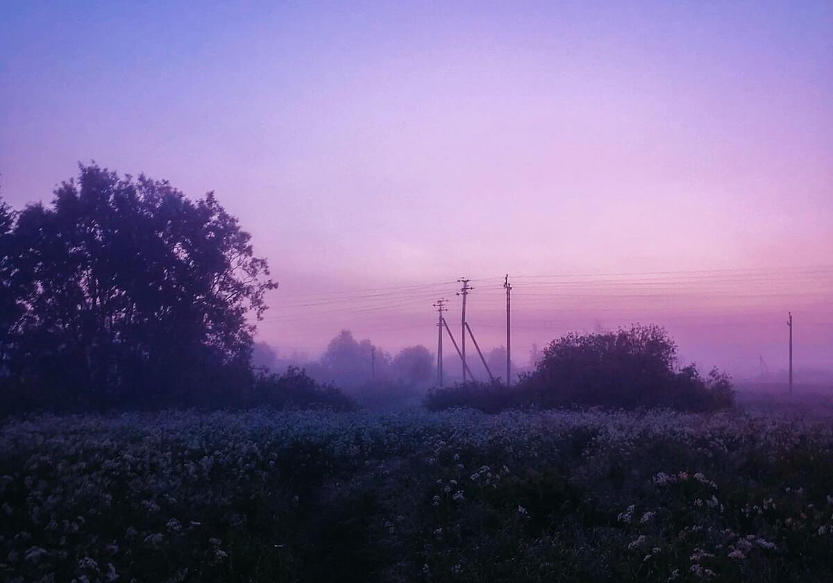 4500万超值！5000万欧铁卫锁定，阿森纳争冠稳了？